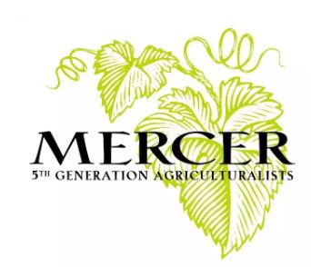 mercer entreprise familiale de vin data driven